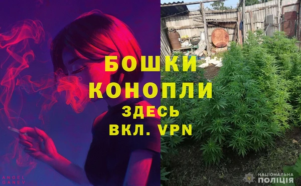 дживик Пестово
