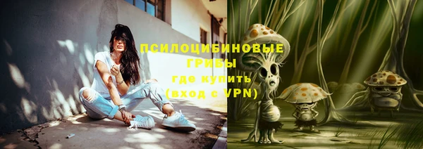 дживик Пестово
