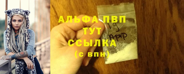 гидра Переславль-Залесский