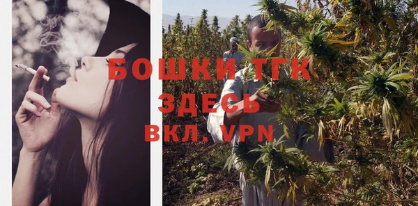 дживик Пестово