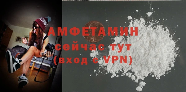 дживик Пестово