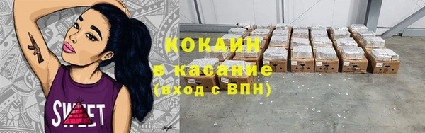 дживик Пестово
