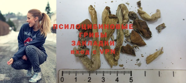 стафф Пересвет