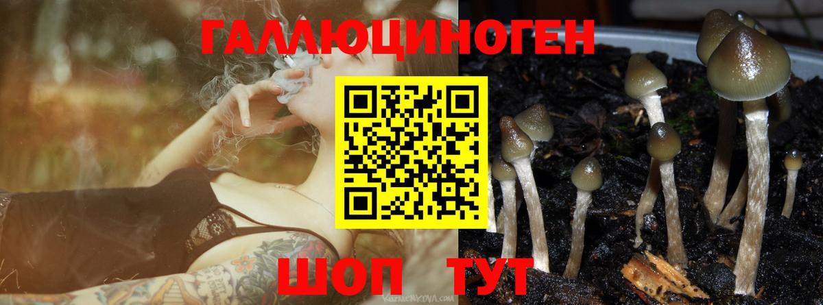 Клинцы  Псилоцибиновые грибы мухоморы  Вход с VPN 